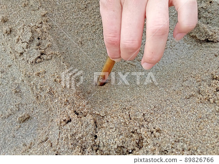 拔出剃須刀殼的女性手 拔出剃須刀殼的女性手 89826766