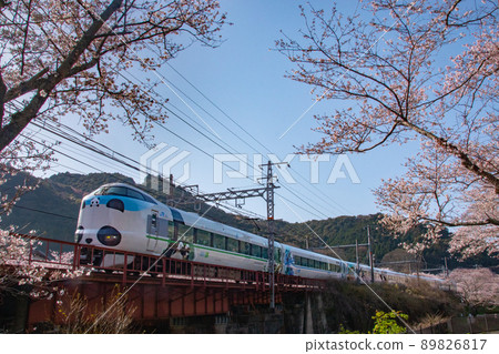 大阪府阪南市阪和線山中谷站附近的熊貓黑潮可持續微笑列車 89826817