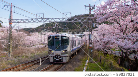 Spring Hanwa Line Yamanakadani Station Hannan City, Osaka Prefecture 89827021