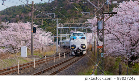 熊貓黑潮可持續微笑列車阪和線山中谷站大阪府阪南市 89827242