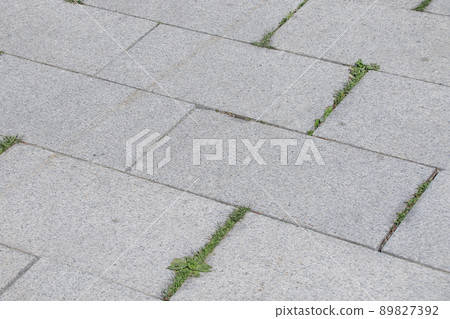 地面、道路、混凝土、戶外、公園、人行道、砌塊、鋪路石、鵝卵石、石頭 地面、道路、混凝土、戶外、公園、人行道、砌塊、鋪路石、鵝卵石、石頭 89827392
