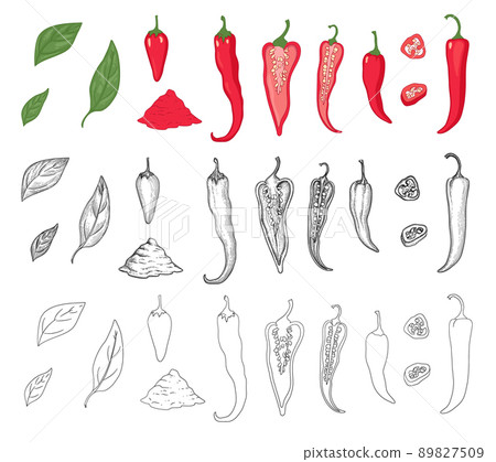 Pepper vegetable icons set outline, hand drawn vector. Hot chili 89827509