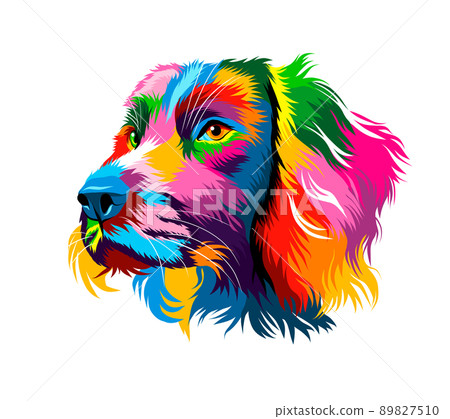 Abstract spaniel dog head portrait from multicolored paints. Dog muzzle Abstract spaniel dog head portrait from multicolored paints. Dog muzzle 89827510