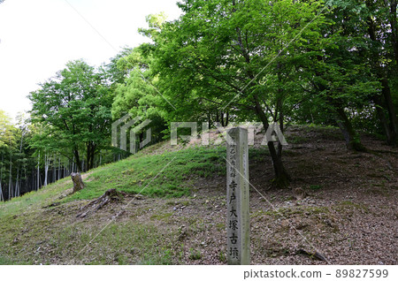 Kofun and bamboo grove Kofun and bamboo grove 89827599
