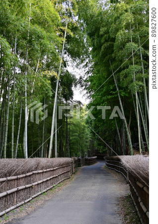 竹籬笆和竹林 竹籬笆和竹林 89827600