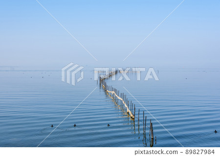 《Shiga Prefecture》 Lake Biwa, Maibara City 89827984
