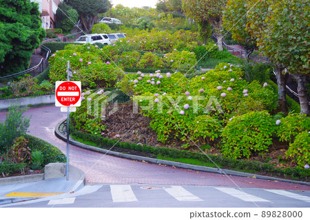 Lombard Street in San Francisco Lombard Street in San Francisco 89828000