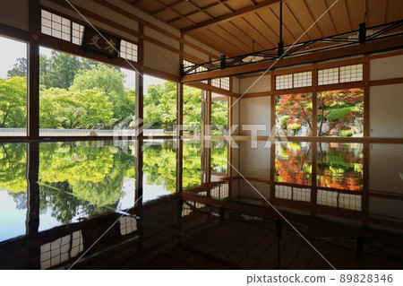 Floor maple at Baotokuji Floor maple at Baotokuji 89828346