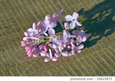 Purple lilac flowers bouquet. 89828655