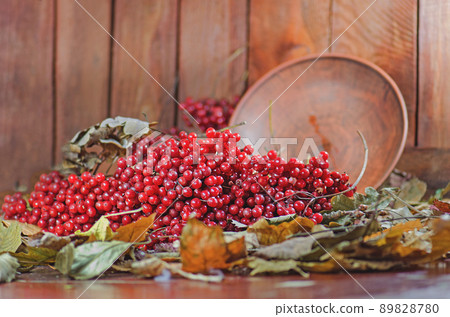 Viburnum berries on wood Viburnum berries on wood 89828780