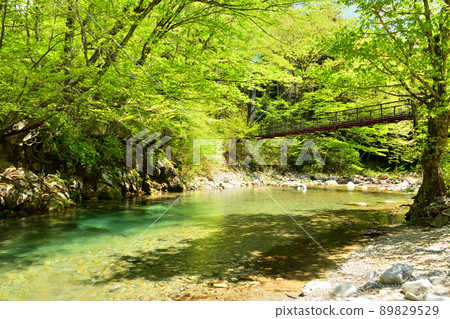 那須鹽原的城俁園、城俁川和大石吊橋 89829529