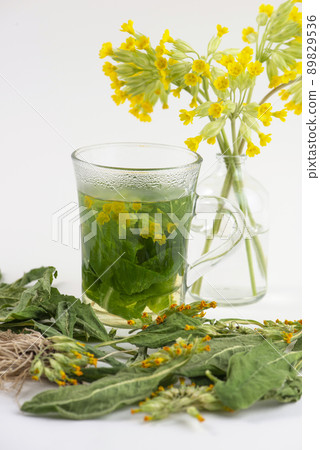 Glass of cowslip, Primula veris, tea and fresh and dried cowslip plant. 89829536