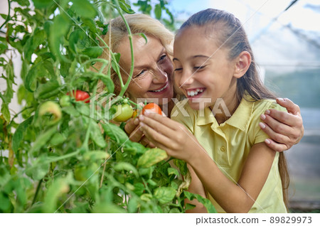 Woman hugging happy girl looking at growing tomatoes Woman hugging happy girl looking at growing tomatoes 89829973