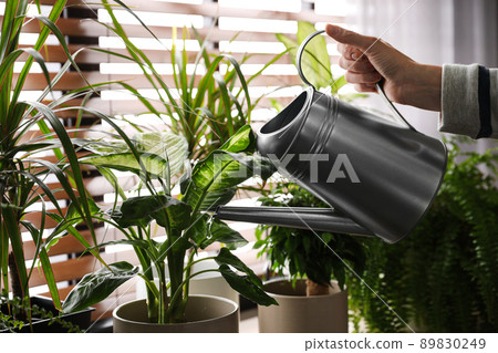 Woman watering plants near window at home, closeup Woman watering plants near window at home, closeup 89830249