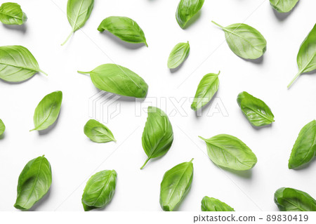 Fresh green basil leaves on white background, top view 89830419