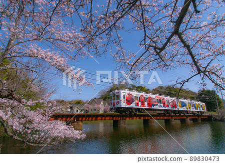 和歌山縣和歌山市和歌山電鐵Chuggington Train Oikeyuen 89830473