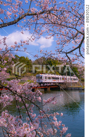 Wakayama Electric Railway Tama Train Oikeyuen, Wakayama City, Wakayama Prefecture 89830522