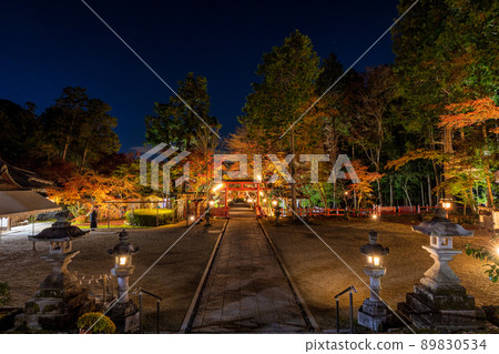 大原野神社紅葉燈照（京都府京都市西京區） 89830534