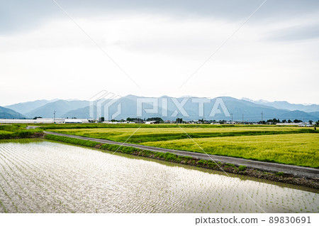 水稻種植後的鄉村景觀 松本市 水稻種植後的鄉村景觀 松本市 89830691