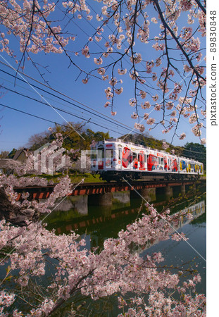 Wakayama Electric Railway Chuggington Train Oikeyuen, Wakayama City, Wakayama Prefecture Wakayama Electric Railway Chuggington Train Oikeyuen, Wakayama City, Wakayama Prefecture 89830848
