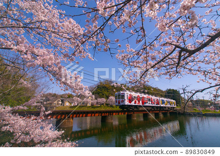 Wakayama Electric Railway Chuggington Train Oikeyuen, Wakayama City, Wakayama Prefecture Wakayama Electric Railway Chuggington Train Oikeyuen, Wakayama City, Wakayama Prefecture 89830849