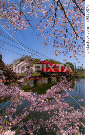 Wakayama Electric Railway Umeboshi Train Oikeyuen, Wakayama City, Wakayama Prefecture Wakayama Electric Railway Umeboshi Train Oikeyuen, Wakayama City, Wakayama Prefecture 89830870