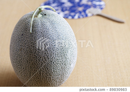 Summer landscape with melon [Summer] 89830983
