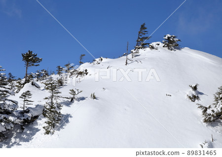 Snowy mountains that shine in the blue sky (Kitayokodake, Tsuboniwa Nature Park, Chino City, Nagano Prefecture) Snowy mountains that shine in the blue sky (Kitayokodake, Tsuboniwa Nature Park, Chino City, Nagano Prefecture) 89831465