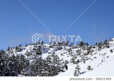 映照藍天的雪山（長野縣茅野市坪庭自然公園北代小岳） 89831466