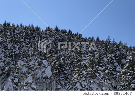 Snowy mountains that shine in the blue sky (Kitayokodake, Tsuboniwa Nature Park, Chino City, Nagano Prefecture) Snowy mountains that shine in the blue sky (Kitayokodake, Tsuboniwa Nature Park, Chino City, Nagano Prefecture) 89831467