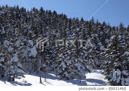 Snowy mountains that shine in the blue sky (Kitayokodake, Tsuboniwa Nature Park, Chino City, Nagano Prefecture) 89831468