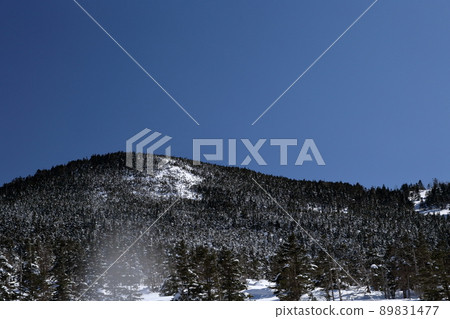 From Tsuboniwa of Kitayokodake to Mt. Shimakare (Kitayokodake Tsuboniwa, Chino City, Nagano Prefecture) 89831477