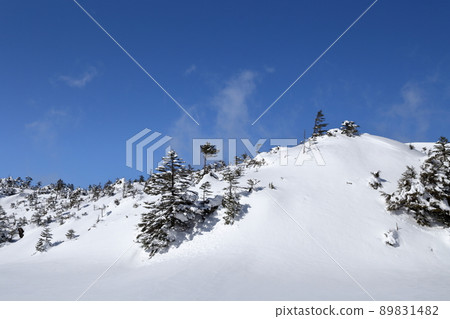 Snowy mountains that shine in the blue sky (Kitayokodake, Tsuboniwa Nature Park, Chino City, Nagano Prefecture) 89831482