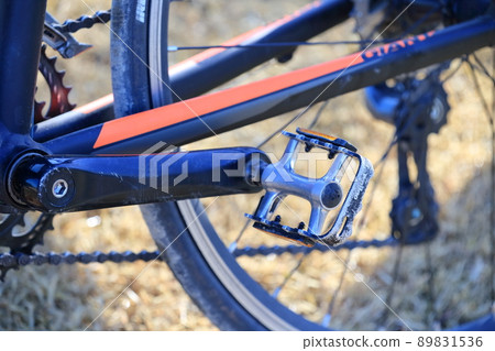 Bike 2025 rat trap