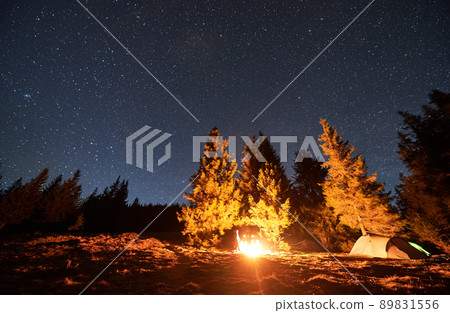 Silhouettes group of travelers spending time together by campfire in evening under starry sky near bright luminous tents. Camping of good friends in the mountains at night. 89831556