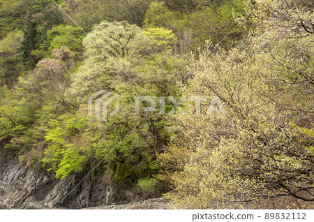 Fresh green in spring and mountains in Tabayama village Fresh green in spring and mountains in Tabayama village 89832112