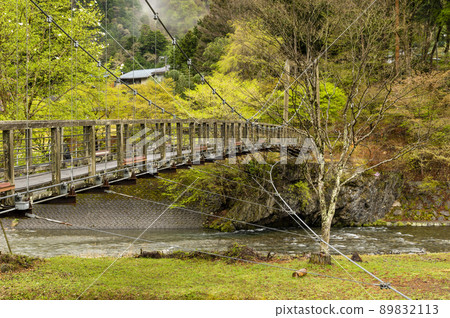 Suspension bridge on the Taba River Suspension bridge on the Taba River 89832113