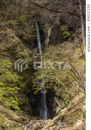 Shiraito Falls in Kosuge Village, Yamanashi Prefecture 89832120