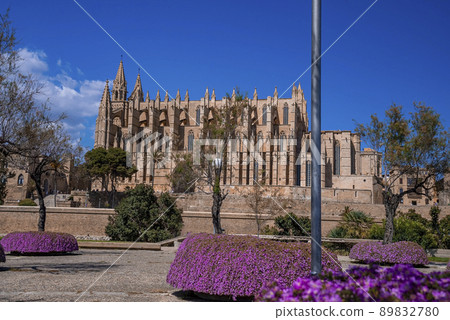 Beautiful gothic style La Seu Cathedral seen from park against blue sky Beautiful gothic style La Seu Cathedral seen from park against blue sky 89832780