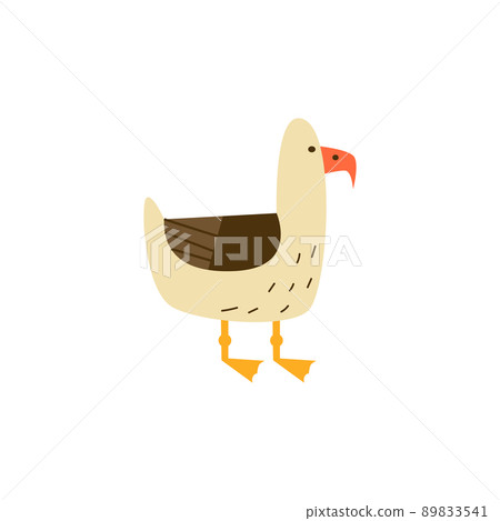 Gull or seagull standing seabird character, flat vector illustration isolated. 89833541