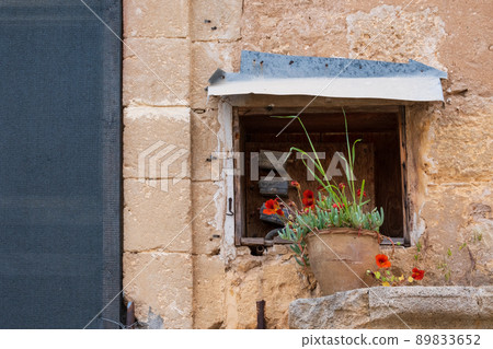 A flower pot with living plant in the yard of an abandoned classical  house in the Ghost Resort City of Varosha Famagusta, Cyprus 89833652