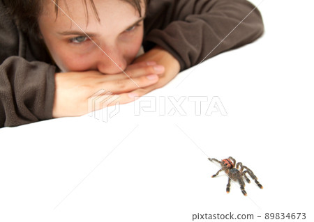 Spider Spider 89834673