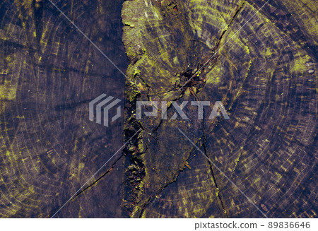 Texture of an old decrepit wet green hemp. Texture of an old decrepit wet green hemp. 89836646