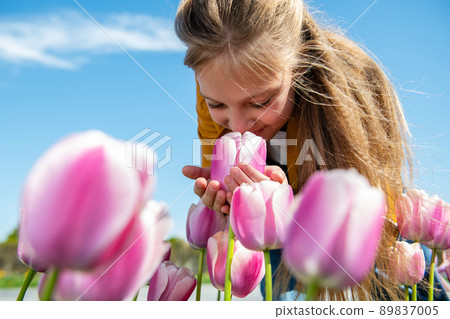 A beautiful teenage girl is sniffing tulip flowers. 89837005