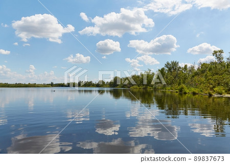 Water surface lake with trees Water surface lake with trees 89837673