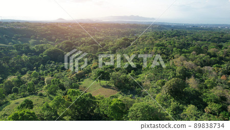 Green valley in Nicaragua Managua Green valley in Nicaragua Managua 89838734