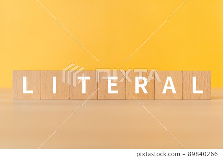 上面寫有“LITERAL”的積木 89840266