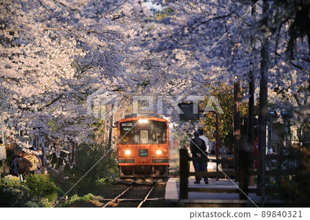 Run through the cherry blossom tunnel Meros (Goshogawara City, Aomori Prefecture) 89840321