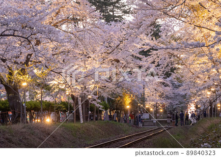 佐倉隧道津輕鐵道（青森縣五所川原市金城） 89840323