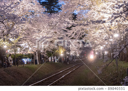 Illuminated cherry blossom tunnel and Tsugaru Railway (Aomori Prefecture) 89840331